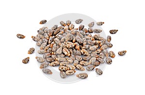 Castor seeds on white background.