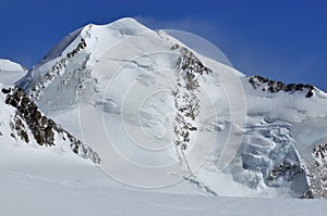 Castor in the swiss alps