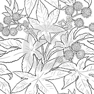 Castor vector pattern