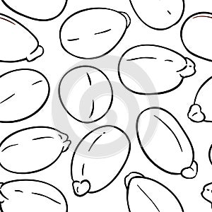 Castor vector pattern