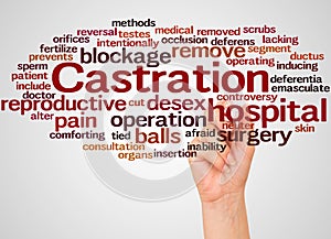 Castration word cloud and hand with marker concept photo