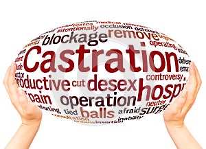 Castration word cloud hand sphere concept photo