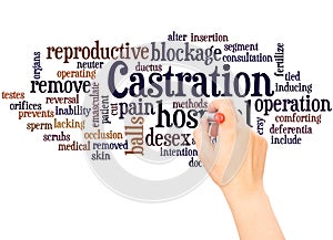 Castration word cloud hand writing concept photo