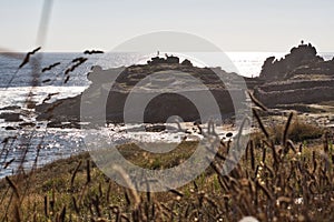 Castro BaroÃÂ±a . Ancient celtic village in Galica photo