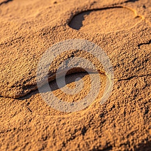 Casts subtle shadows, emphasizing the depth and contours of the