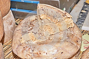 Casu Marzu, sardinian cheese with worms