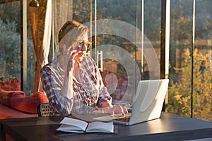 Casual Business Person working on Computer talking on Telephone