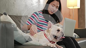 Casual freelance Asian cute woman working from home with her dog.