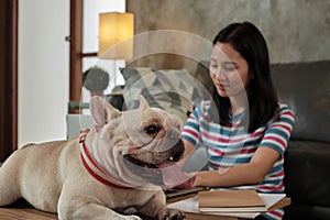 Casual freelance Asian cute woman working from home with her dog