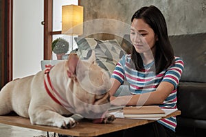 Casual freelance Asian cute woman working from home with her dog