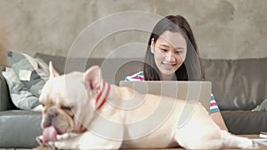 Casual freelance Asian cute woman working from home with her dog.