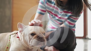 Casual woman stroking the head of a cute french bulldog.