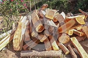 A casually piled pile of wood in a blooming garden. Wooden beams and logs with trees and flowers background. Freshly cut long wood