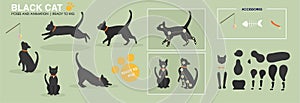 Cute active black cat vector ready to animate with multiple poses and positions. photo