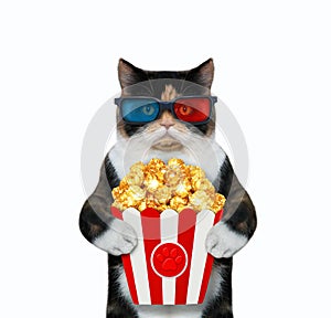 Cat in 3d glasses eats popcorn 3