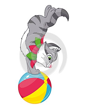 Cat acrobat on the ball cartoon vector illustration