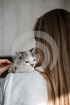 Cat Adoption, Adopt kitten from rescues and shelters. Portrait of woman playing with outbred adopted grey kitten