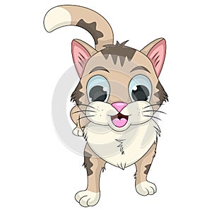 Cat adorable and funny cartoon vector illustration