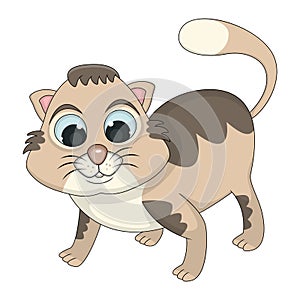 Cat adorable and funny cartoon vector illustration