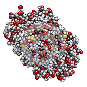 Cat allergen (Fel d 1) protein. Major cause of allergy to cats.