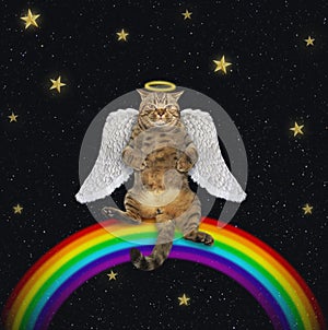Cat angel on rainbow