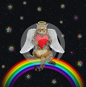 Cat angel on rainbow 2