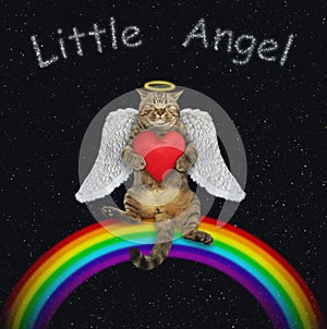 Cat angel on rainbow 3