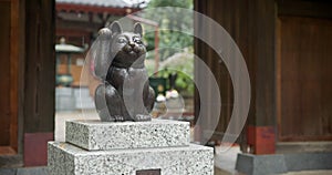 Cat, animal and statue of manekineko in Japan for luck, success and gratitude outdoor at Gotokuji temple. Sculpture