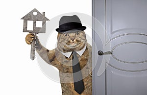 Cat with apartment key near door