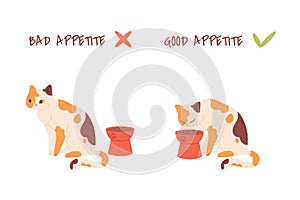 Cat appetite. Picky to feed kitten, bad or good pets appetites diagram, home animal diet cats want eating fodder bowl