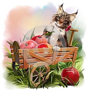 The cat and the Apple harvest