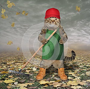 Cat in apron with garden rake 2