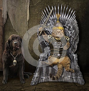 Cat in armor on the iron throne with a dog