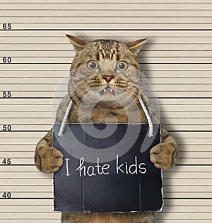 Cat arrested for hating kids