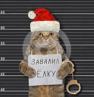 Cat arrested for knocked Christmas tree