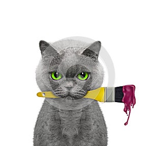 Cat as a painter with brush and red color. Isolated on white