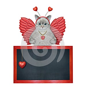 Cat ashen angel near blank blackboard