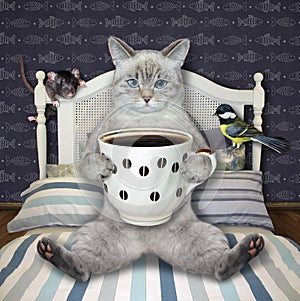 Cat ashen in bed drinking coffee 2