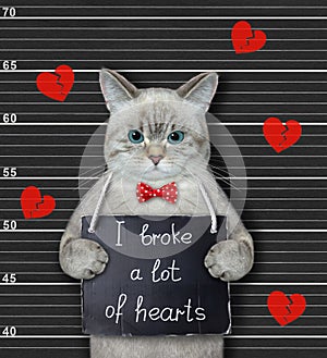 Cat ashen broke lots of hearts