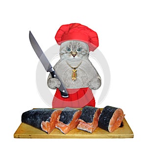 Cat ashen chef cutting fish