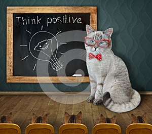 Cat ashen coach teaches to think positive