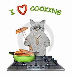 Cat ashen cooks fried fish on stove