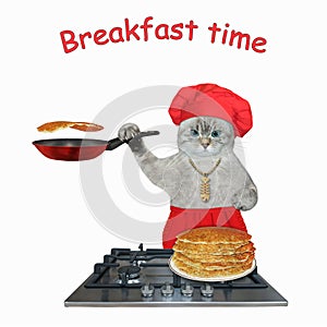 Cat ashen cooks pancakes on gas stove