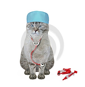 Cat ashen doctor in stethoscope 2