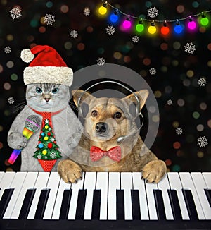 Cat ashen and dog ing Christmas songs