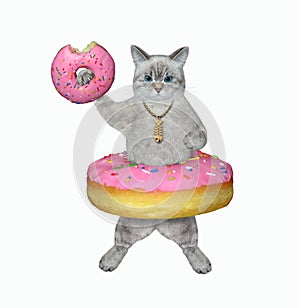 Cat ashen dressed with pink donut at waist