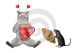 Cat ashen drinks coffee near rat with croissant 2