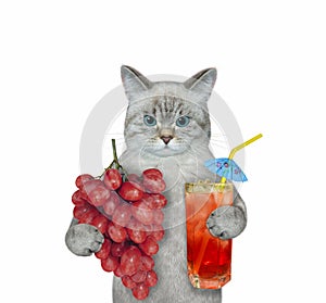 Cat ashen drinks red grape juice