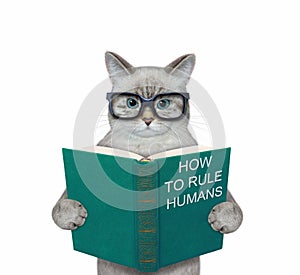 Cat ashen in eyeglasses reads green book