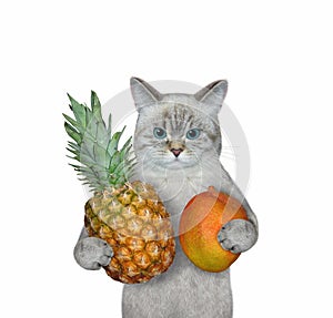 Cat ashen holding mango and pineapple